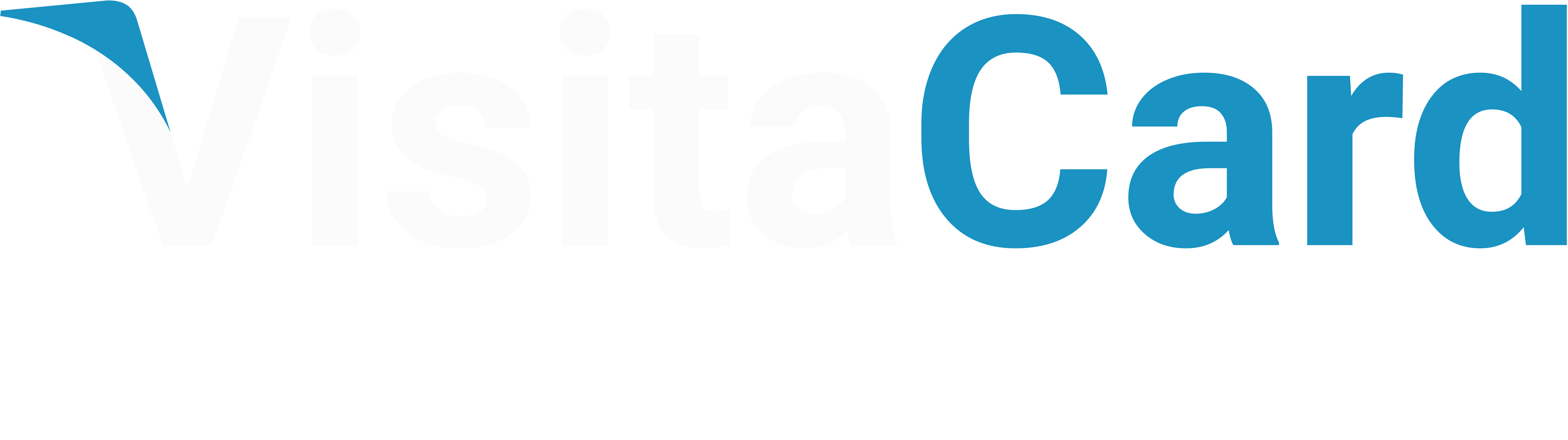 VisitaCard